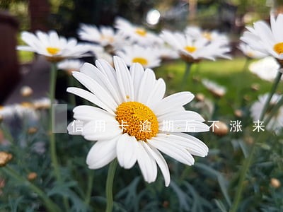 信用卡逾期后不涨来 信用卡逾期后不涨来