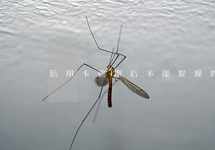 信用卡逾期后不能提现吗