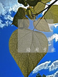 信用卡逾期后不能消费 信用卡逾期后不能消费