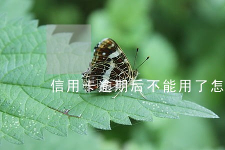 信用卡逾期后不能用了怎么办 信用卡逾期后不能用了怎么办