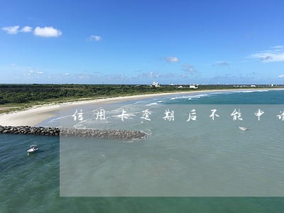 信用卡逾期后不能申请网贷吗 信用卡逾期后不能申请网贷吗