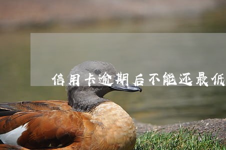 信用卡逾期后不能还最低还款 信用卡逾期后不能还最低还款