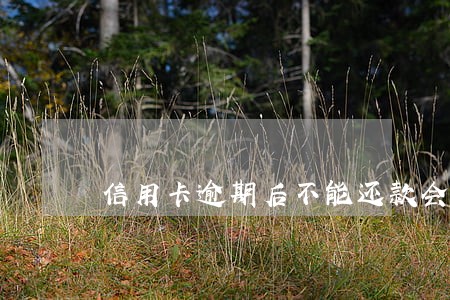 信用卡逾期后不能还款会怎么样