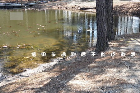 信用卡逾期后不能还款怎么办 信用卡逾期后不能还款怎么办