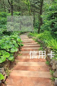 信用卡逾期后不见了怎么还 信用卡逾期后不见了怎么还