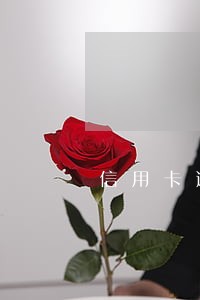 信用卡逾期后两年没用了