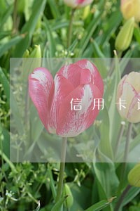 信用卡逾期后个人协商