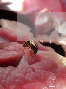 信用卡逾期后为什么一直在沟通 信用卡逾期后为什么一直在沟通
