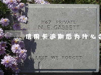 信用卡逾期后为什么会打电话