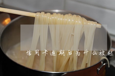 信用卡逾期后为什么被起诉 信用卡逾期后为什么被起诉