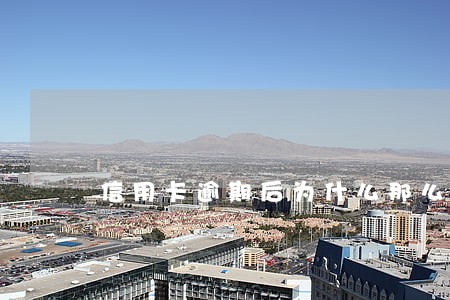 信用卡逾期后为什么那么高 信用卡逾期后为什么那么高
