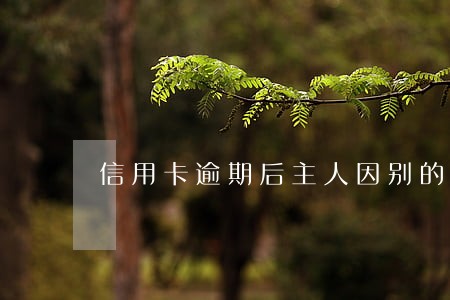 信用卡逾期后主人因别的事情坐牢