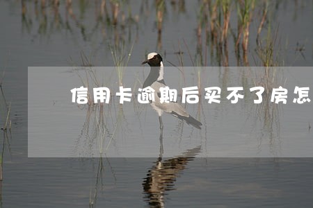 信用卡逾期后买不了房怎么办 信用卡逾期后买不了房怎么办