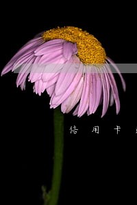 信用卡逾期后买房可以贷款吗 信用卡逾期后买房可以贷款吗
