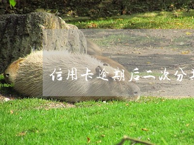 信用卡逾期后二次分期 信用卡逾期后二次分期