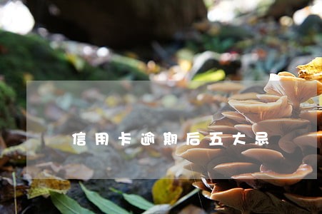 信用卡逾期后五大忌 信用卡逾期后五大忌