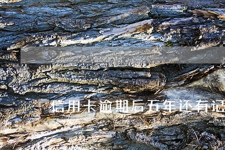 信用卡逾期后五年还有记录