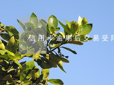 信用卡逾期后交易受限 信用卡逾期后交易受限