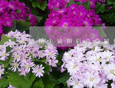 信用卡逾期后享受最低还款 信用卡逾期后享受最低还款