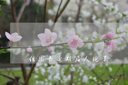 信用卡逾期后人跑了 信用卡逾期后人跑了