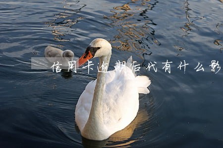信用卡逾期后代有什么影响