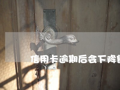 信用卡逾期后会下降额度吗 信用卡逾期后会下降额度吗