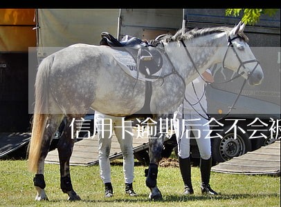 信用卡逾期后会不会被起诉 信用卡逾期后会不会被起诉