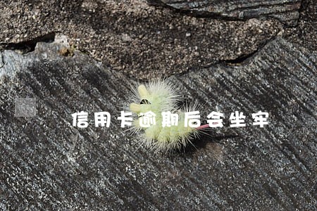 信用卡逾期后会坐牢 信用卡逾期后会坐牢