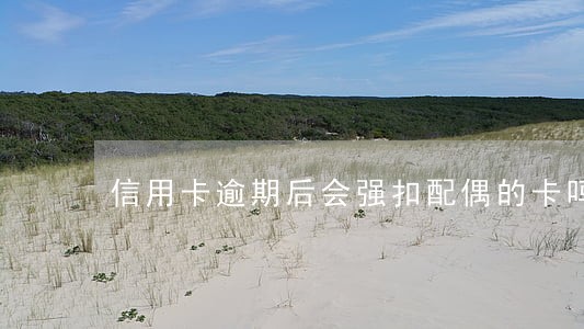 信用卡逾期后会强扣配偶的卡吗