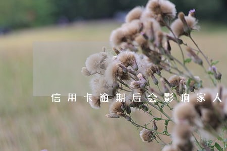 信用卡逾期后会影响家人吗 信用卡逾期后会影响家人吗