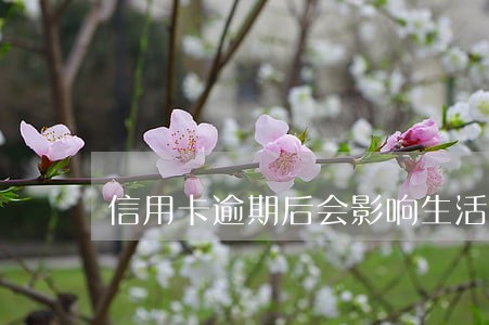 信用卡逾期后会影响生活吗 信用卡逾期后会影响生活吗