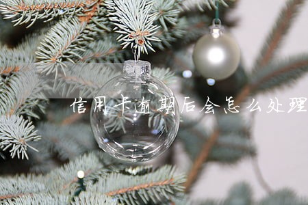 信用卡逾期后会怎么处理 信用卡逾期后会怎么处理