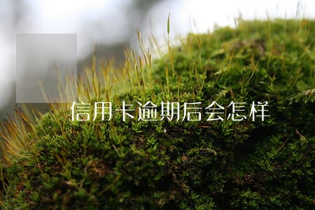 信用卡逾期后会怎样 信用卡逾期后会怎样