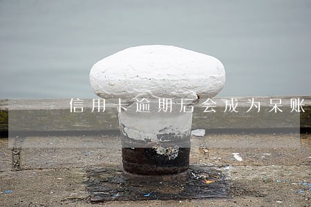 信用卡逾期后会成为呆账吗