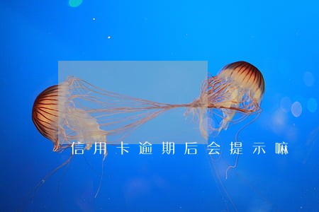 信用卡逾期后会提示嘛