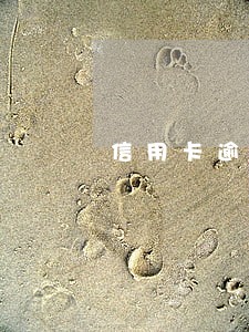 信用卡逾期后会被法院冻结吗 信用卡逾期后会被法院冻结吗