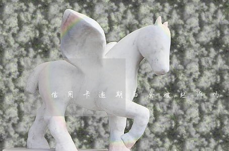 信用卡逾期后会被起诉吗 信用卡逾期后会被起诉吗