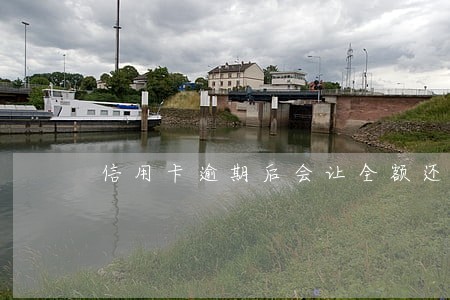 信用卡逾期后会让全额还款吗 信用卡逾期后会让全额还款吗