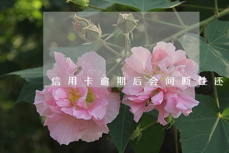 信用卡逾期后会间断性还点款 信用卡逾期后会间断性还点款