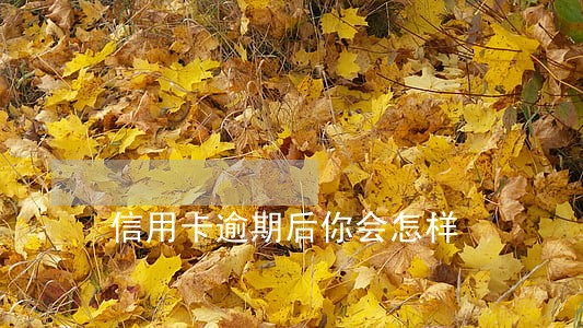 信用卡逾期后你会怎样 信用卡逾期后你会怎样