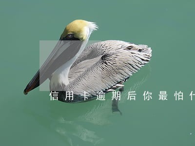信用卡逾期后你最怕什么