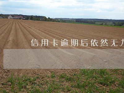 信用卡逾期后依然无力偿还 信用卡逾期后依然无力偿还
