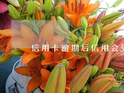 信用卡逾期后信用会受损吗 信用卡逾期后信用会受损吗