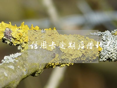 信用卡逾期后借钱不了 信用卡逾期后借钱不了