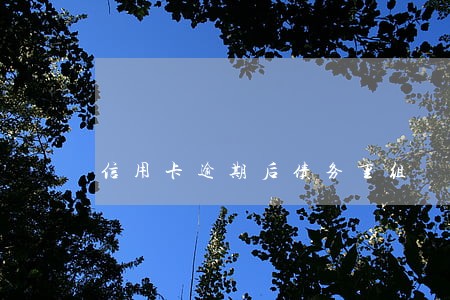 信用卡逾期后债务重组 信用卡逾期后债务重组