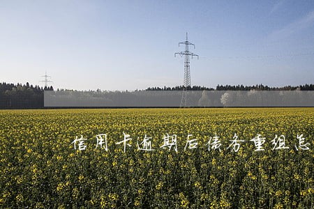 信用卡逾期后债务重组怎么办 信用卡逾期后债务重组怎么办