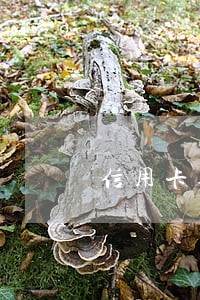 信用卡逾期后做到三点