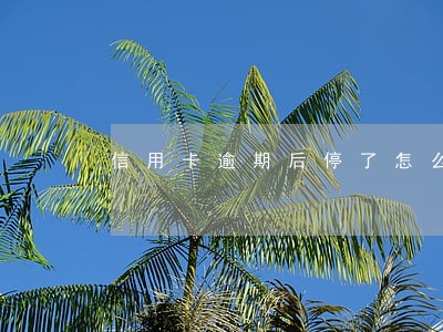 信用卡逾期后停了怎么办 信用卡逾期后停了怎么办