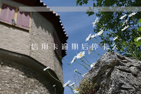 信用卡逾期后停卡么 信用卡逾期后停卡么