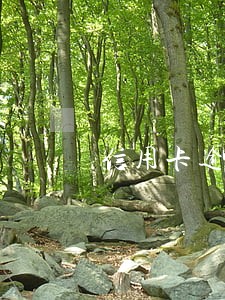 信用卡逾期后停息分期好申请吗 信用卡逾期后停息分期好申请吗